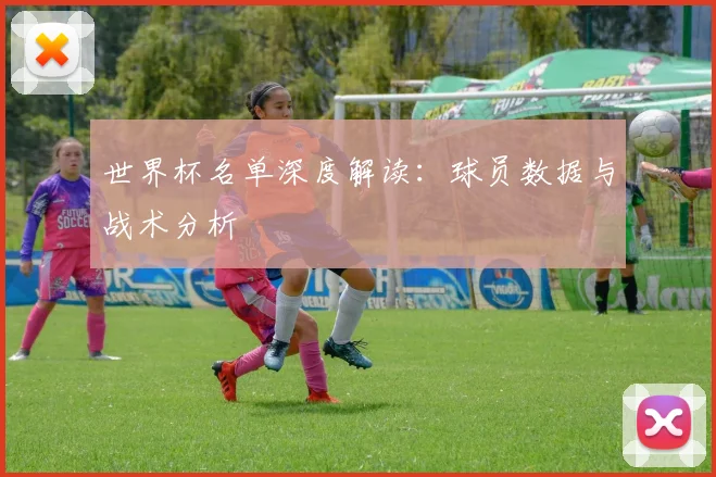 世界杯名单深度解读:球员数据与战术分析