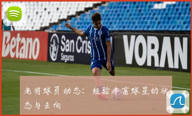 老将球员动态：经验丰富球星的状态与去向