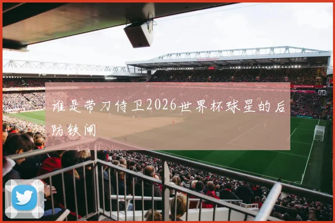 谁是带刀侍卫2026世界杯球星的后防铁闸