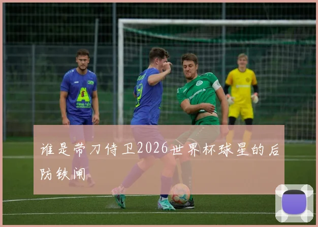 谁是带刀侍卫2026世界杯球星的后防铁闸