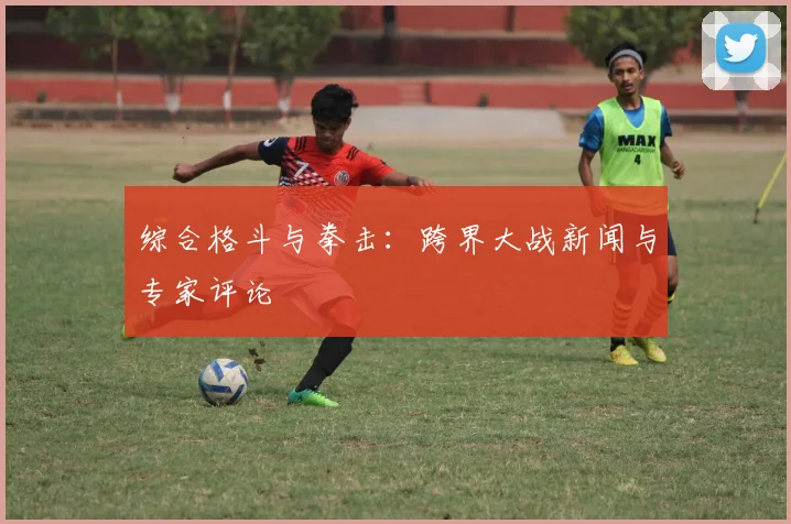 综合格斗与拳击:跨界大战新闻与专家评论