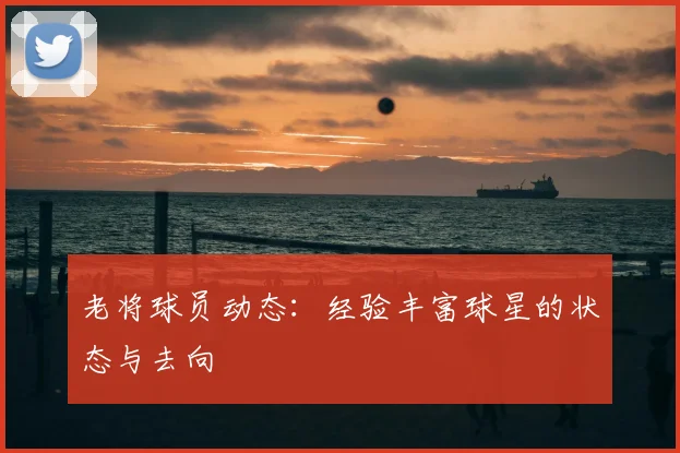 老将球员动态:经验丰富球星的状态与去向
