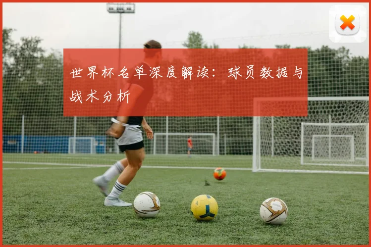 世界杯名单深度解读：球员数据与战术分析